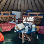 Dancing moose yurt