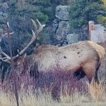 Loveland Heights Cottages