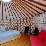 Spacious Skies Campgrounds - Shenandoah Views