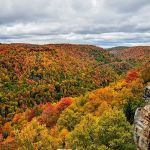 Blackwater Falls State Park