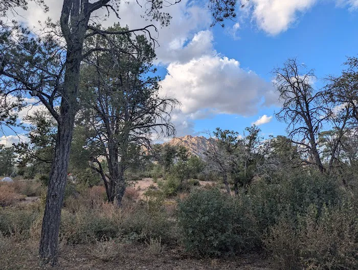 Yavapai Campground 1
