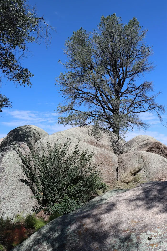 Yavapai Campground 9