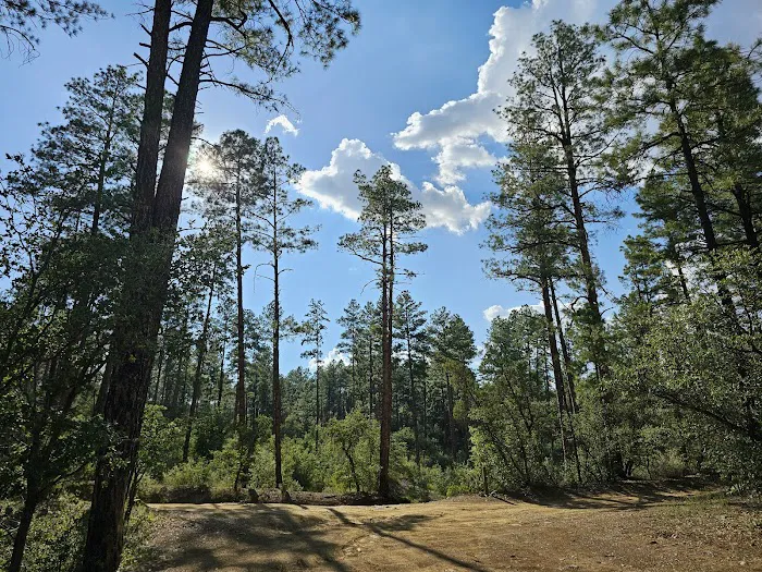 Enchanted Forest Trail Campground 0