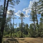 Enchanted Forest Trail Campground
