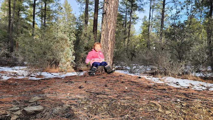 Enchanted Forest Trail Campground 2