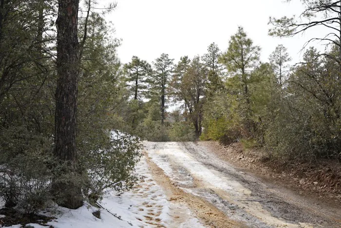 Enchanted Forest Trail Campground 5