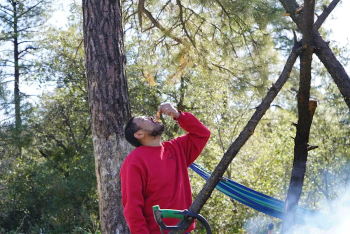 Enchanted Forest Trail Campground 4
