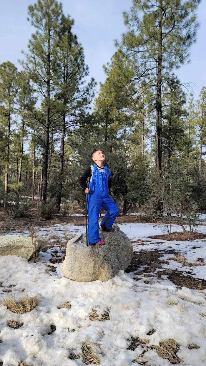Enchanted Forest Trail Campground 9