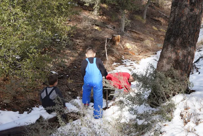 Enchanted Forest Trail Campground 7