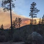 Prescott Basin Dispersed Campsite 12