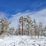 Playground Group Campground
