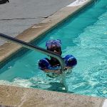 Coastal Dunes RV Park