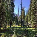 Deep Creek Campground