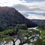 Bennett Creek Campground