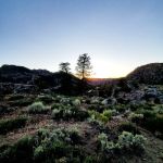 Corral Creek Campground