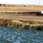 WYO Campground & RV Park