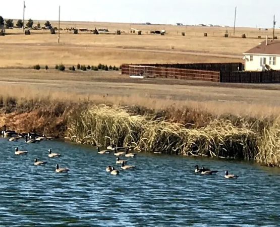 WYO Campground & RV Park