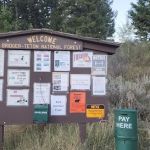 Curtis Canyon Campground