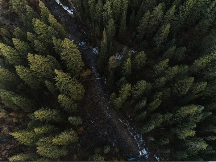 Moose Creek Ranch 8