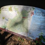 Henry Cowell Redwoods State Park Campground