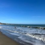 Campground | New Brighton State Beach