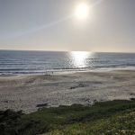 Sunset State Beach Campground