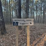 Nicholson Creek Campsite