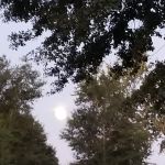 Jolly Acres Camp & Storage