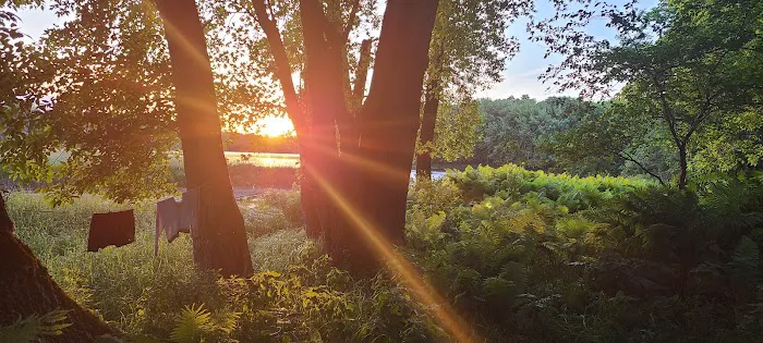 Dimmick Island Watercraft Campsite 1