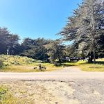 Bodega Dunes Campground