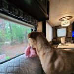 Winfield Campground Check-In