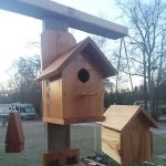 Peach Orchard RV Park & Campground