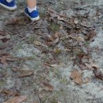 Mount Moriah Campgrounds