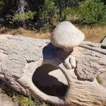 Mirror Lake Campground