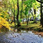 Up the Creek RV Camp