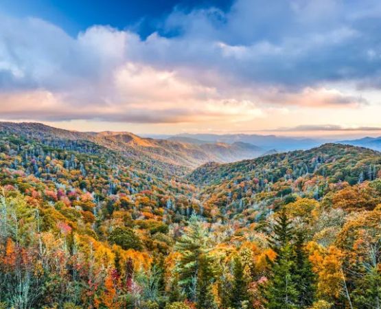 Great Smoky Mountains National Park