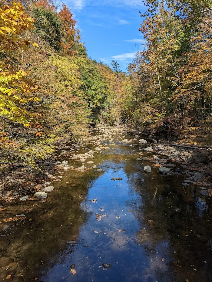 Great Smoky Mountains National Park 8