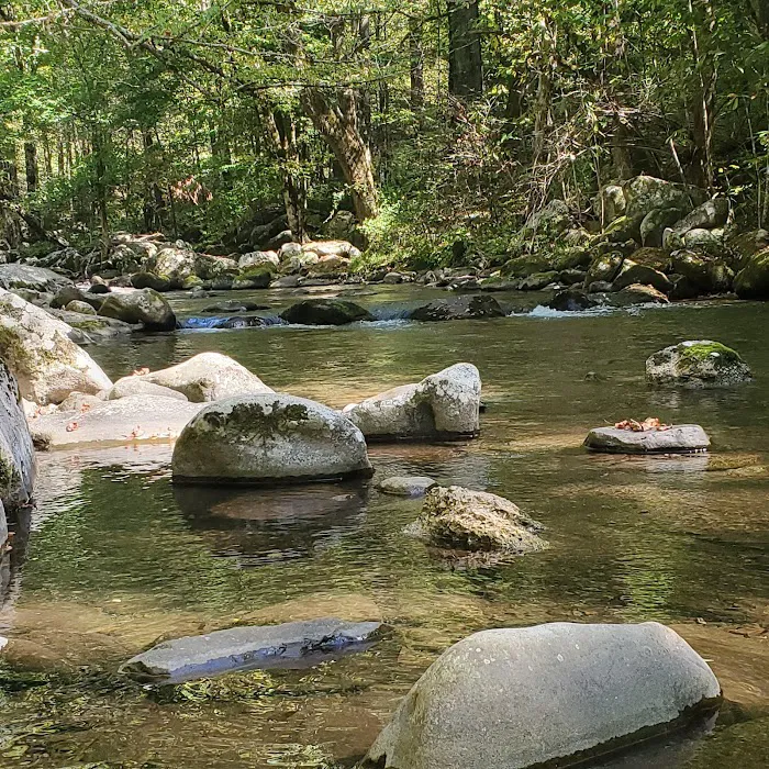 Great Smoky Mountains National Park 7