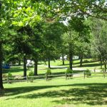 Cedar Point Campground