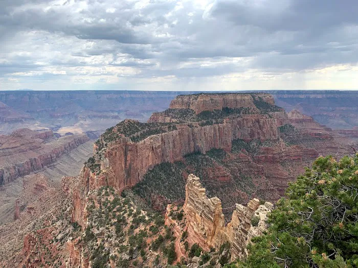 Grand Canyon National Park 5