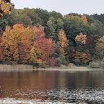 Brush Lake Campground