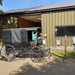 Mecosta Pines Campground