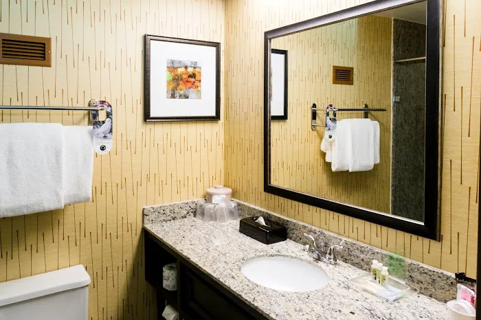 Holiday Inn Express Big Rapids, an IHG Hotel 4