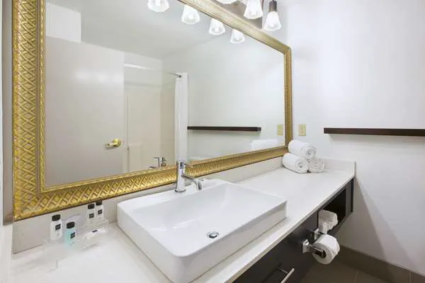 Country Inn & Suites by Radisson, Big Rapids, MI 3