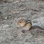 Lost Lake Campground