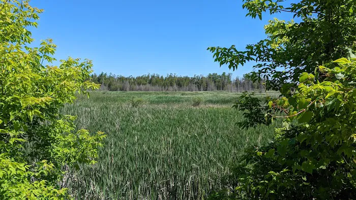 Presqu'ile Provincial Park 8