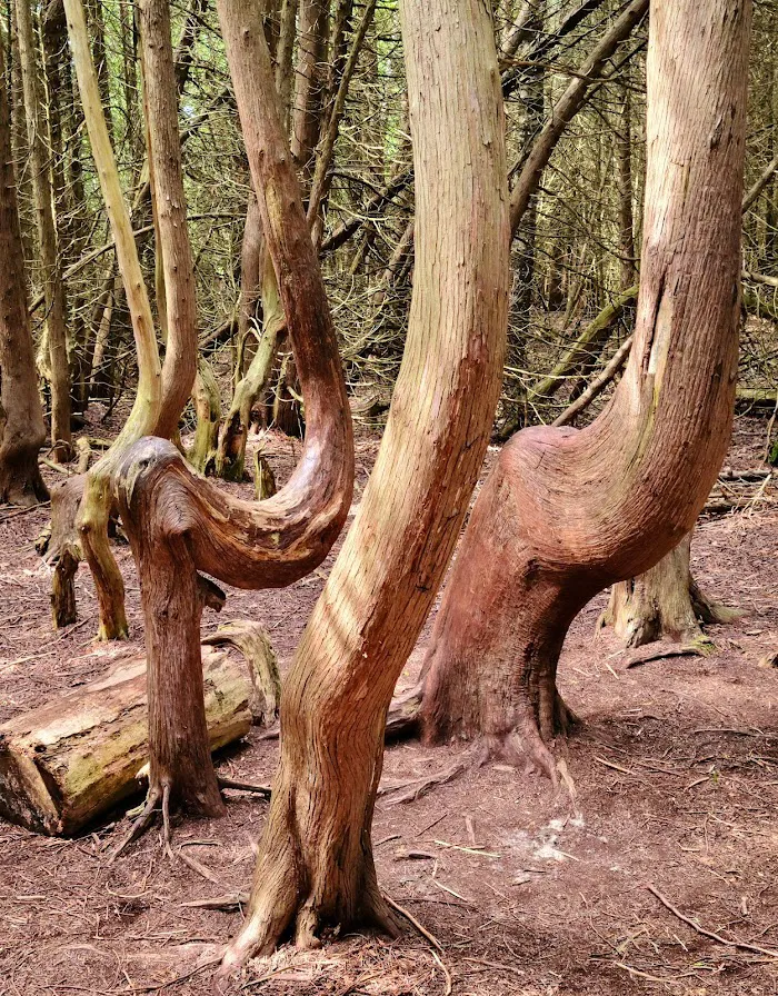 Presqu'ile Provincial Park 6