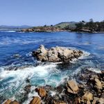 Point Lobos State Natural Reserve