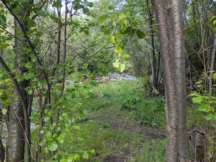 Clear Creek Campground 4