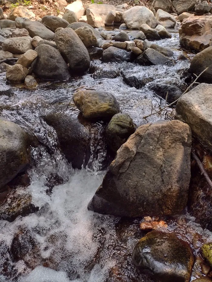 Clear Creek Campground 5